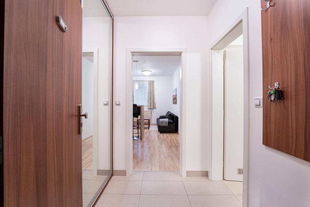 Depandance Marnet Sneznik Apartment Dolni Morava Ngoại thất bức ảnh